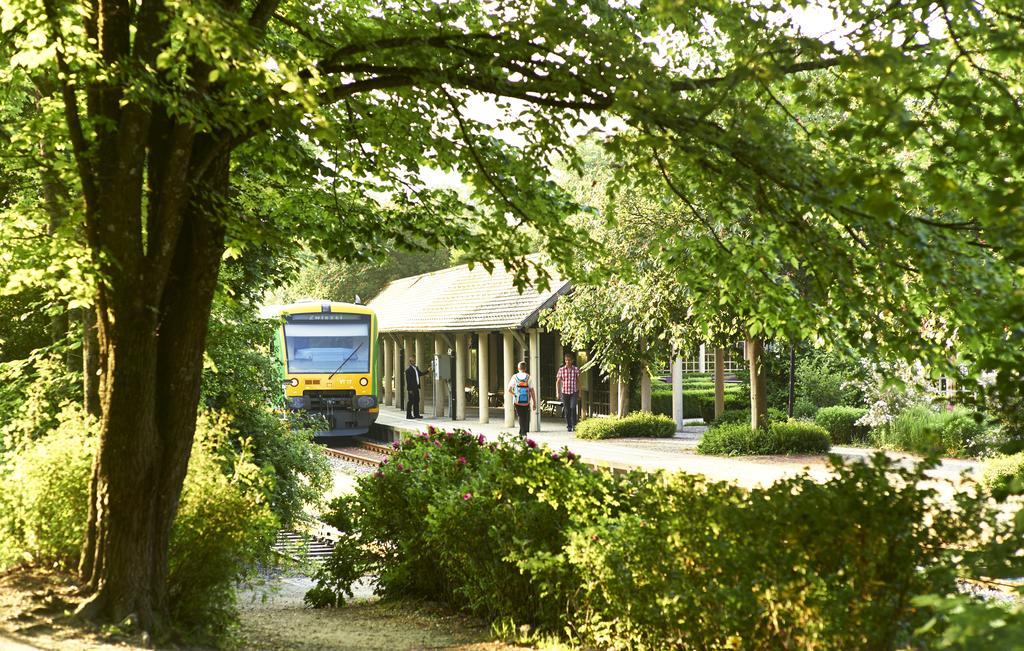 Rehwinkel Hotell Bodenmais Exteriör bild